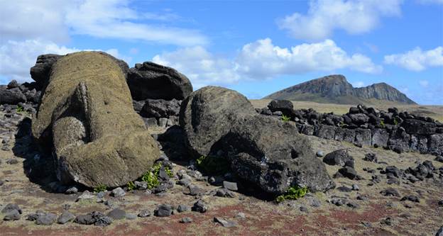 https://www.easterisland.travel/images/media/images/archaeology/one-makihi-fallen-statues-behind-ahu-rano-raraku.jpg
